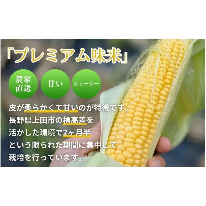 【先行予約】とうもろこし プレミアム味来 みどりの大地 10kg（16～24本入り） 茹でとうもろこし スイートコーン ミラクルコーン 甘いコーン 野菜 長野県 信州 上田