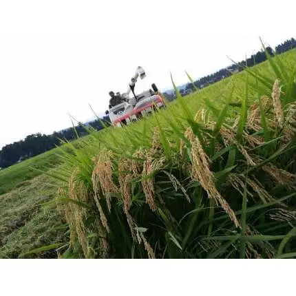 先行予約 令和8年 新潟県産コシヒカリ 【アイガモ農法】 5kg 5キロ JAS有機栽培米 上越市 三和区神田 富永農産