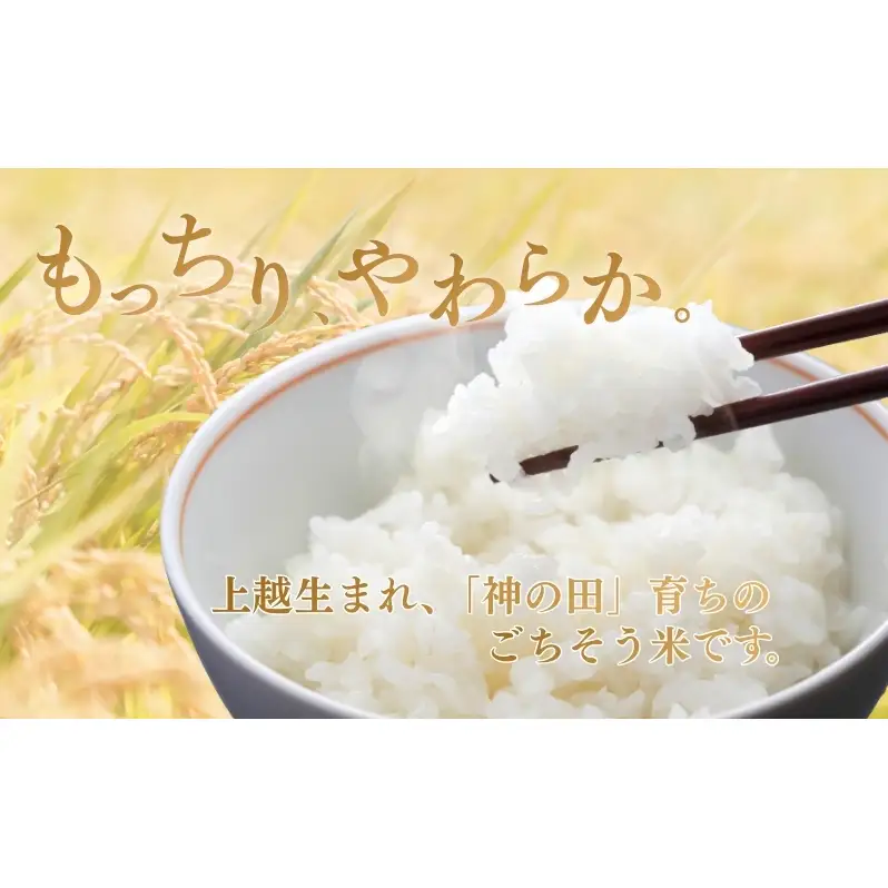 先行予約 令和8年 新潟県産新之助 特別栽培米 5kg 5キロ 上越市 三和区神田 富永農産 有機肥料 自家製たい肥
