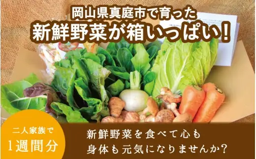 【3カ月定期便】真庭あぐり野菜セット カット野菜が1品入る 10～11品 平飼い卵付き / 産地直送 農家 お試し 岡山県 新鮮 あぐりガーデン 国産 【配送不可地域：北海道／沖縄県／離島】 【jujy-tkb062】