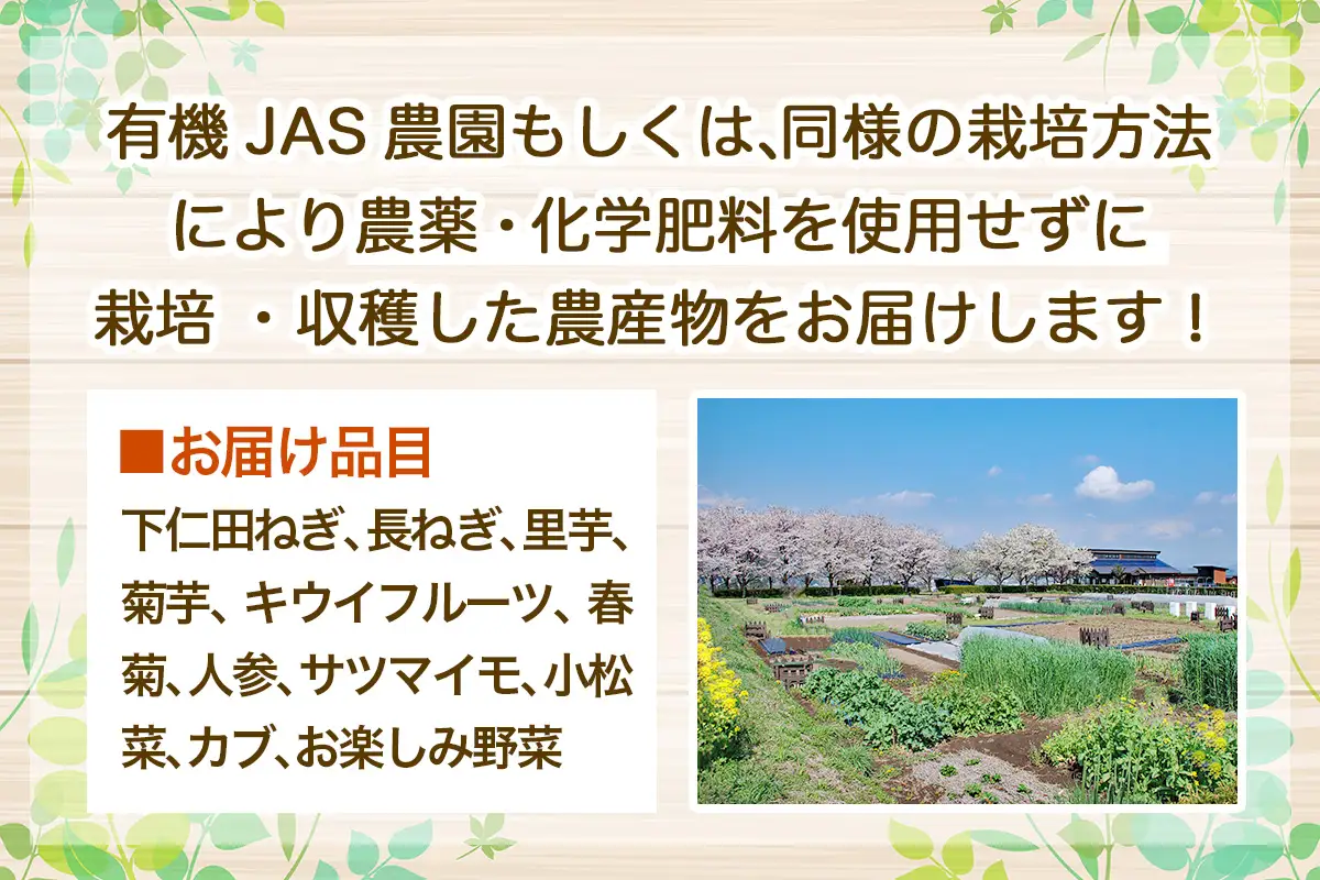 旬の有機野菜詰合せ／群馬県甘楽町産 [0350]