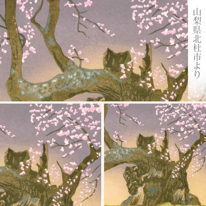 版画「神代桜」 ［201M08］ 版画 神代桜 桜 特別天然記念物 日本三大桜 額装 絵画 木版画家 陶山俊一 小牧市在住 日本 自然 風景 モチーフ 遠近感 質感 木版画 アート アート作品 インテリア 壁掛け 絵 美術品 工芸品 風景画 自然画 愛知県 小牧市 送料無料
