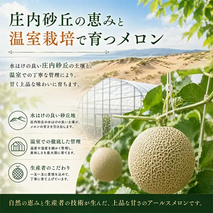 SB0924　庄内砂丘 アールスメロン(温室メロン)　4kg以上(2玉入) つる付き