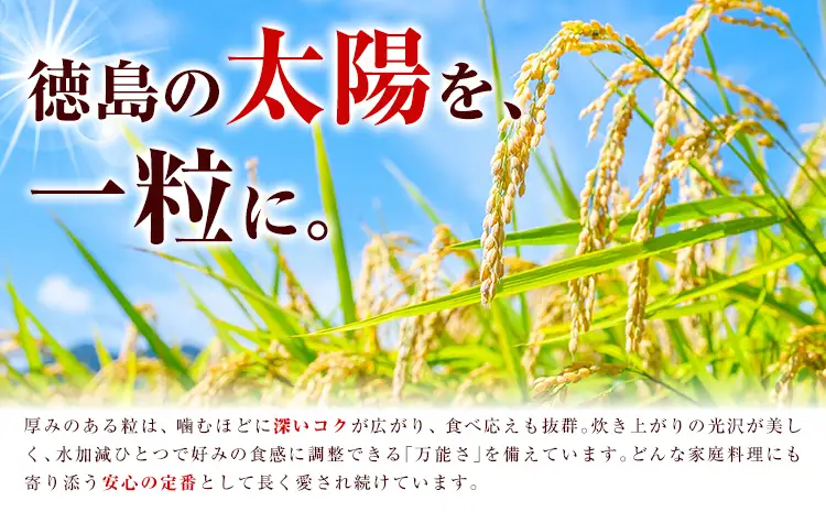 米 ヒノヒカリ 10kg JA徳島県脇町営農経済センター 米 こめ | 徳島県