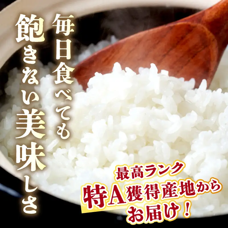 【3ヶ月定期便】直売所直送「令和8年産　京丹後市産　コシヒカリ」　無洗米10kg こめ ふるさと納税 コシヒカリ 米 精米