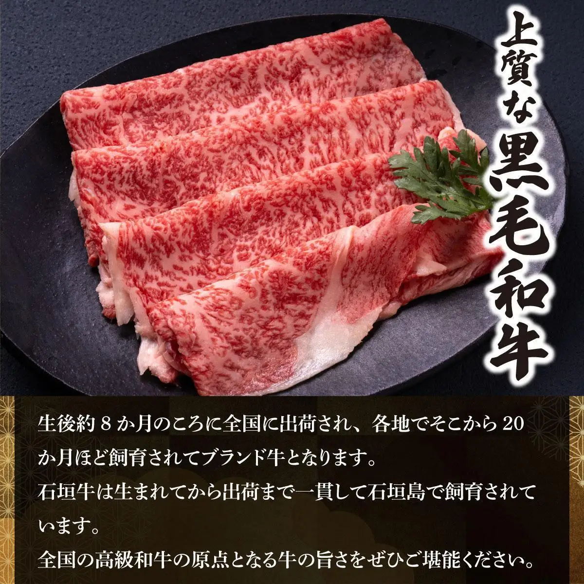 石垣牛×アグー豚（南ぬ豚）石垣島満喫焼肉セット（各400g 計800g）