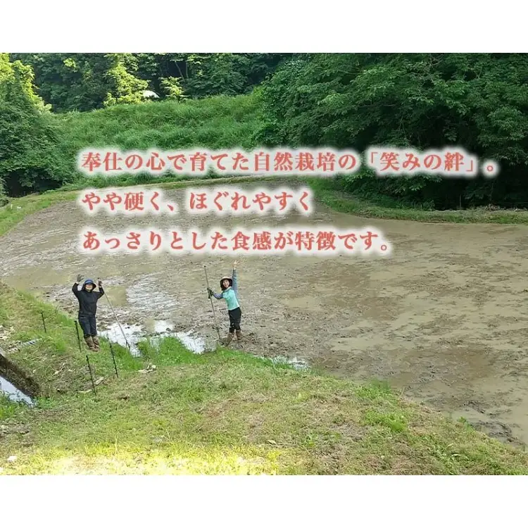 【射水の美味しいお米】【自然栽培農法】自然栽培農家 marufarm 自然栽培米「笑みの絆」20kg ※2026年10月～発送