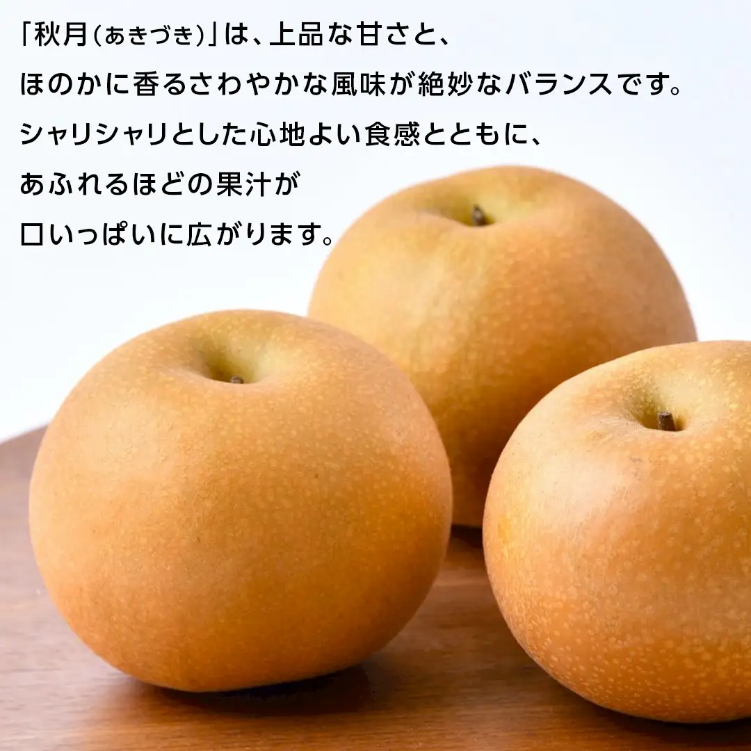あきづき 梨 3kg （6～8玉）【2026年10月より発送開始】（茨城県共通返礼品 [梨]：大子町産）