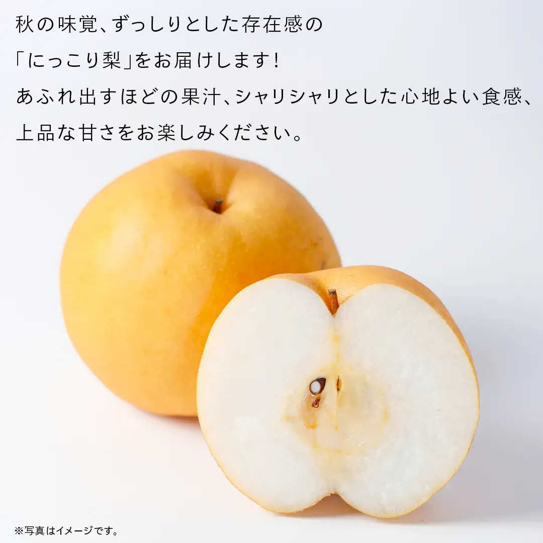 にっこり 梨 3kg （4～5玉）【2026年10月より発送開始】（茨城県共通返礼品 [梨]：大子町産）