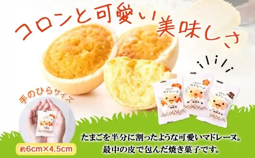 胡蝶庵　うみたてマドレーヌ　20個セット
