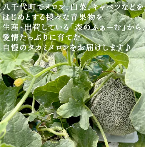 メロン タカミメロン 優以上 1箱 2玉 八千代町産 先行予約