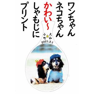 写真しゃもじ「写絵」