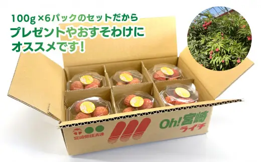 【数量限定】希少 綾生ライチ お裾分けセット [６パック] 宮崎県 綾町産 ライチ 国産ライチ 果物 フルーツ 生ライチ 産地直送 期間限定 送料無料 お中元 小分け 送料無料【JA綾町】_A0114-1051