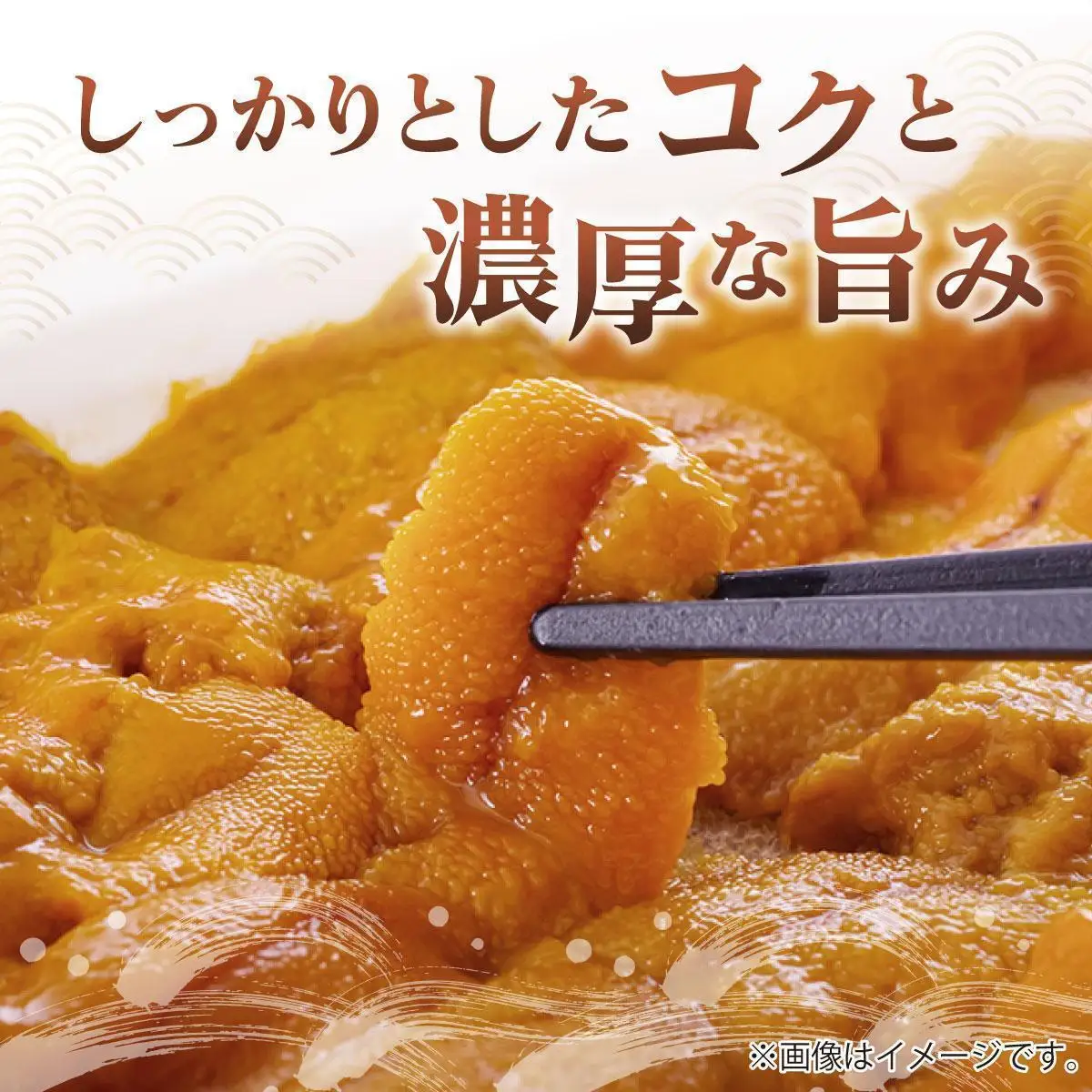＜先行予約＞ 北海道産 ムラサキウニ（正規品）900g【ogm-038】
