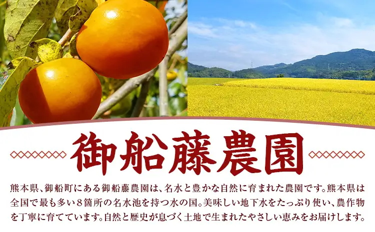 昔ながらの干し柿 クリームチーズブレンド特製チーズ付き 8個 柿 果物 フルーツ かき 高瀬柿 御船藤農園《2026年11月中旬-2027年1月中旬頃出荷》熊本県 御船町 ドライフルーツ 甘味 くだもの 和菓子 熊本県産 おやつ スイーツ
