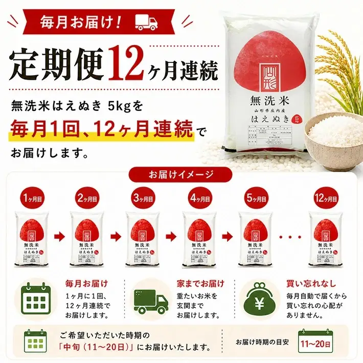 【定期便】無洗米はえぬき5kg×12ヶ月連続中旬発送 計60kg（9月～8月）[1543T09]