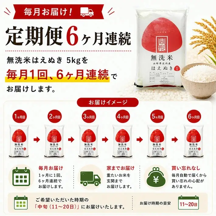 【定期便】無洗米はえぬき5kg×6ヶ月連続中旬発送 計30kg（7月～12月）[1544T07]