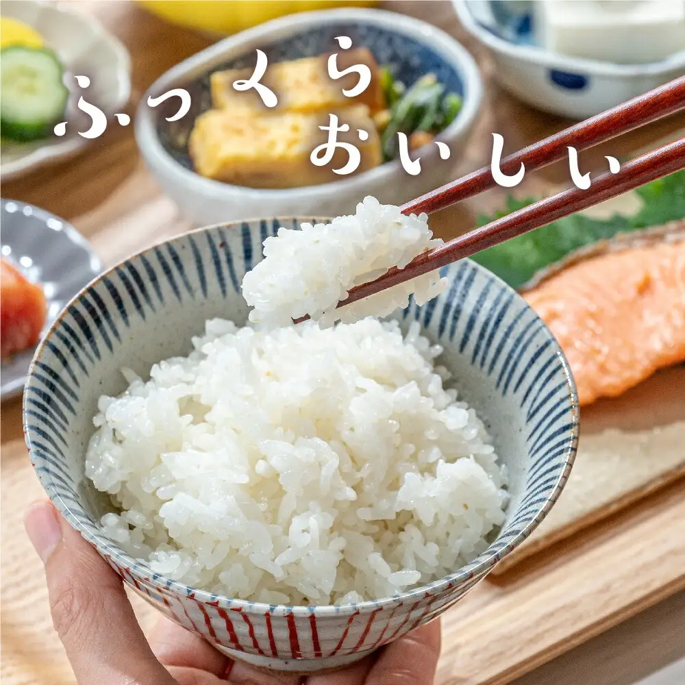 【 先行予約 】 12ヶ月 定期便 令和8年産 コシヒカリ 10kg×12回 計120kg