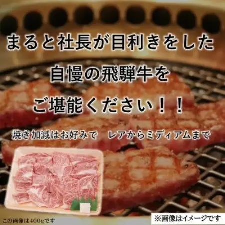 飛騨牛霜降り焼き肉 300g×2(合計600g)【配送不可地域：離島】【1735699】