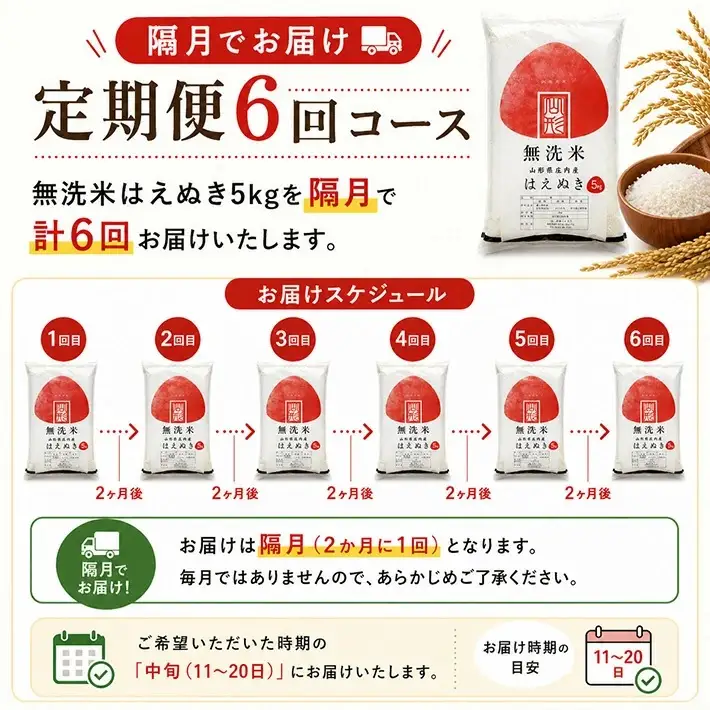 【隔月定期便】無洗米はえぬき5kg×6回隔月中旬発送 計30kg(8月～隔月6回) [1545T08]
