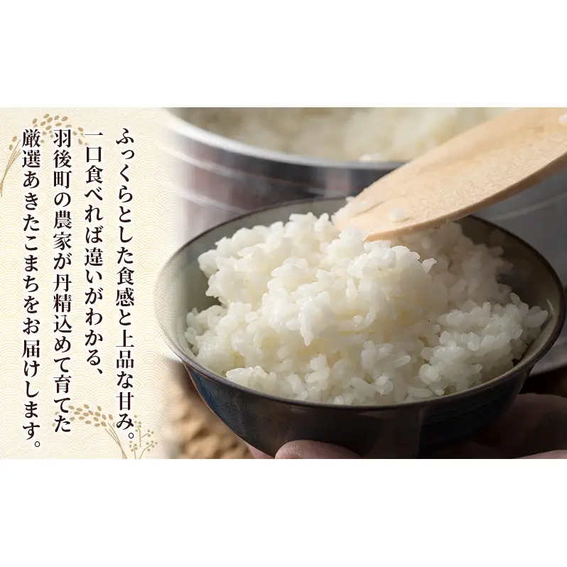 新米 先行予約［令和8年産］定期便 秋田県産 あきたこまち 15kg (5kg×3袋) 全6回 毎月お届け 羽後町産 [藤原商店]【米 お米 白米 精米 あきたこまち アキタコマチ 美味しい 秋田 羽後】