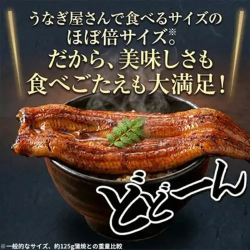 大豆イソフラボンで育てた浜名湖うなぎ蒲焼「やわら華」大きくて肉厚 (約250g×1尾)【配送不可地域：離島】【1729563】