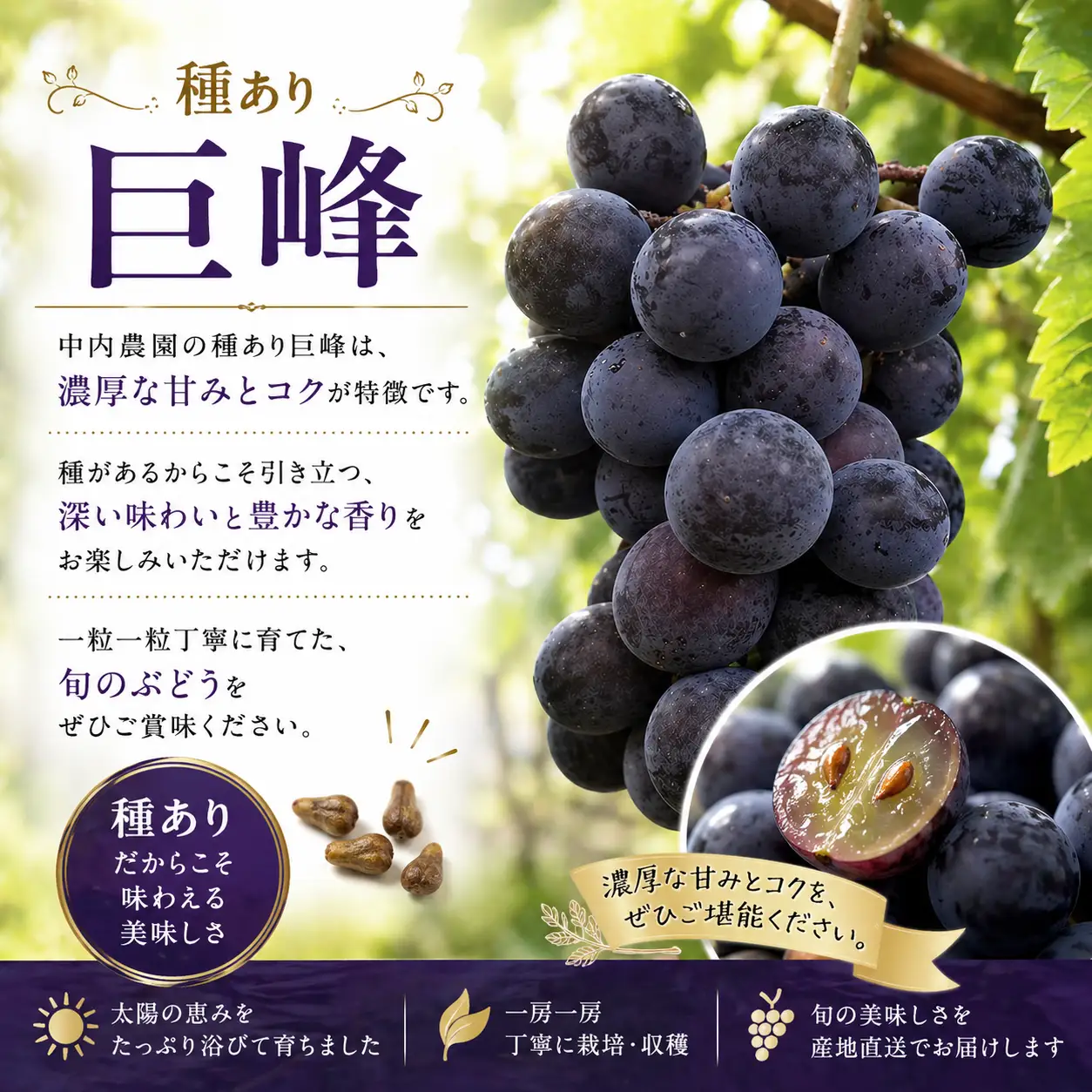 ぶどう 巨峰 種あり 2kg 巨峰