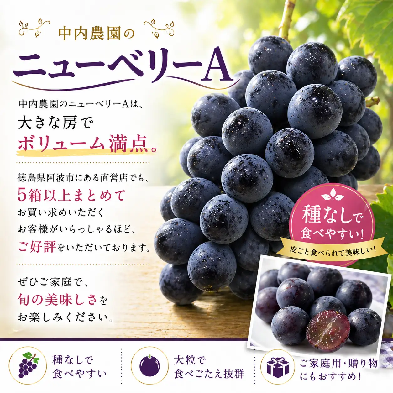 ぶどう ニューベリーA 2kg ぶどう