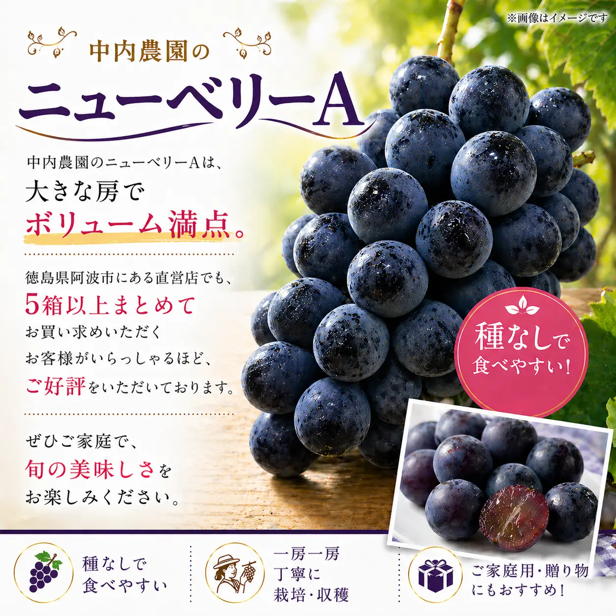 ぶどう ニューベリーA 5kg ぶどう