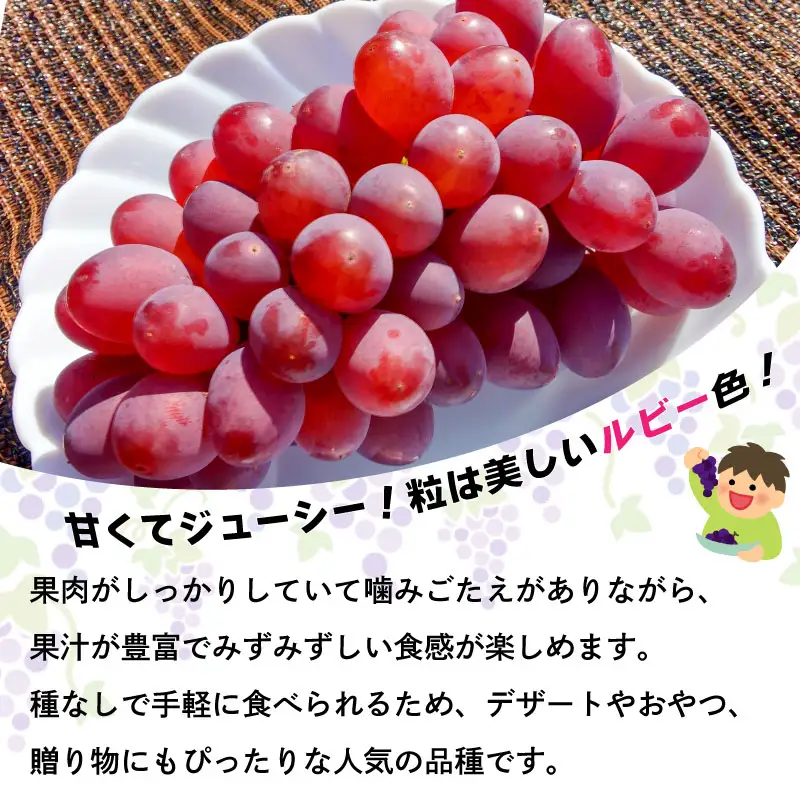 ぶどう サニールージュ 5kg ぶどう