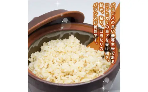 078-8-2【玄米】 ひとめぼれ 玄米 ｜ 10kg 令和8年産 玄米 静岡県 牧之原市 大石農園