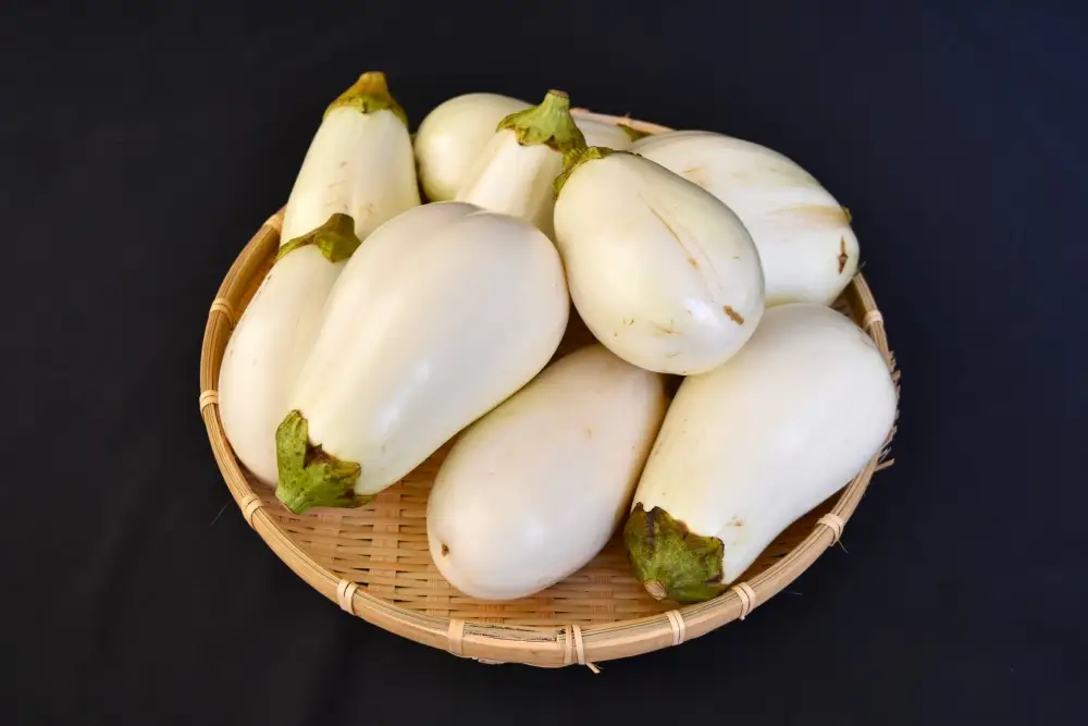 茄子 【訳あり】とろ～り旨なす(白茄子) 約2kg 8～9個【2026年7月初旬～9月末頃順次発送】奈良県 葛城市【bfrk002】