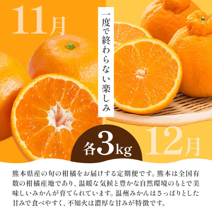 【2ヶ月定期便】2種の柑橘定期便 計6㎏ 日本フルーツ株式会社 《11月上旬-12月末頃出荷》