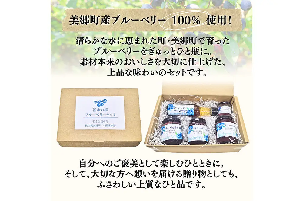 湧水の郷ブルーベリーセット 5点 （バルサミコ酢、ドレッシング、ジャム、ケチャップ、ブルーベリー塩）