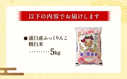 〈 令和8年産 〉浦臼産 ふっくりんこ 精白米 5kg お米 米 こめ コメ 白米 白飯 飯 ご飯 おにぎり ブランド米 ブランド 国産 北海道産 和食 魚料理 【 2026年11月上旬より順次発送 】