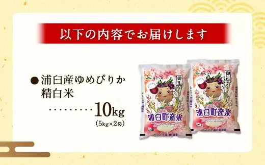 〈 令和8年産 〉 浦臼産 ゆめぴりか 精白米 10kg （ 5kg × 2袋 ） お米 米 こめ コメ 白米 白飯 飯 ご飯 おにぎり ブランド米 ブランド 国産 北海道産 和食 【 2026年10月下旬より順次発送 】