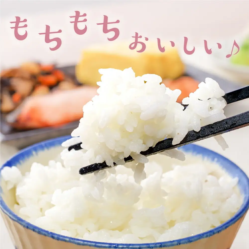 【先行予約】6ヶ月 定期便 令和8年産 はえぬき 5kg×6回 計30kg