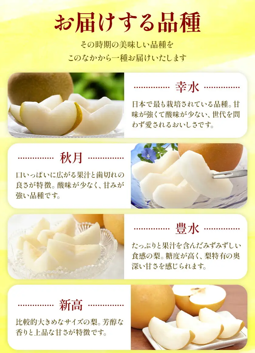 おまかせ梨 3㎏ 贈答用化粧箱（5～9玉） 日本フルーツ株式会社《8月上旬-10月上旬頃出荷予定》
