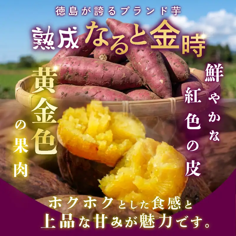 訳あり なると金時 5kg 熟成 さつまいも 鳴門金時
