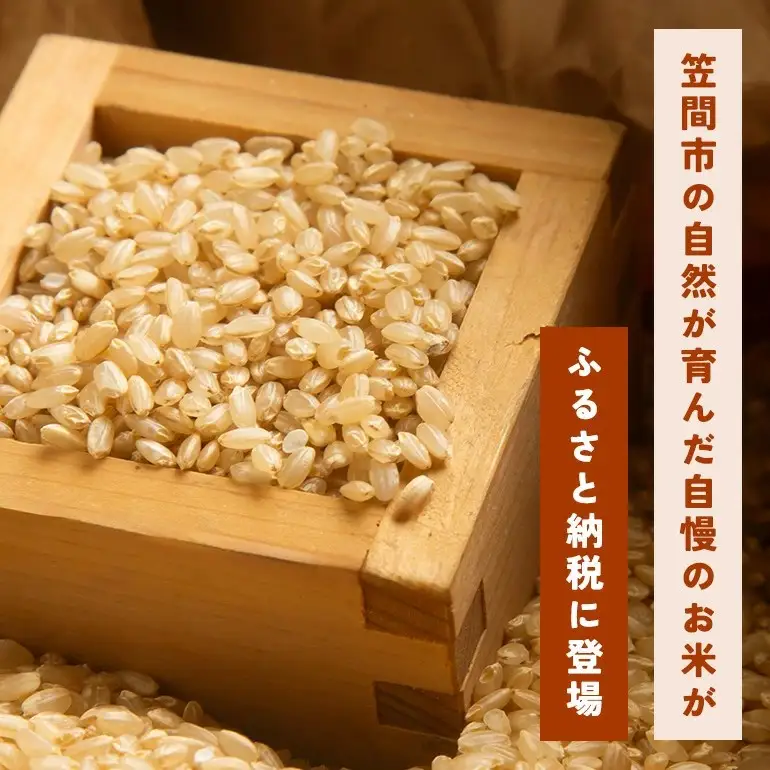 玄米 米 30kg にじのきらめき FH-028