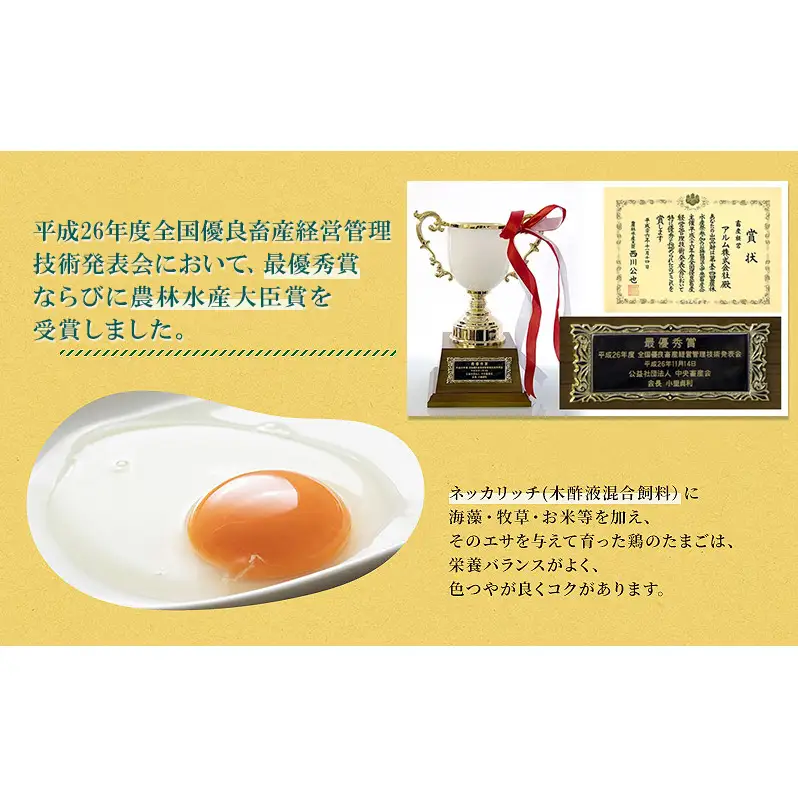 卵【2回 定期便】 赤玉 ネッカリッチ卵 50個入り 鶏卵 たまご