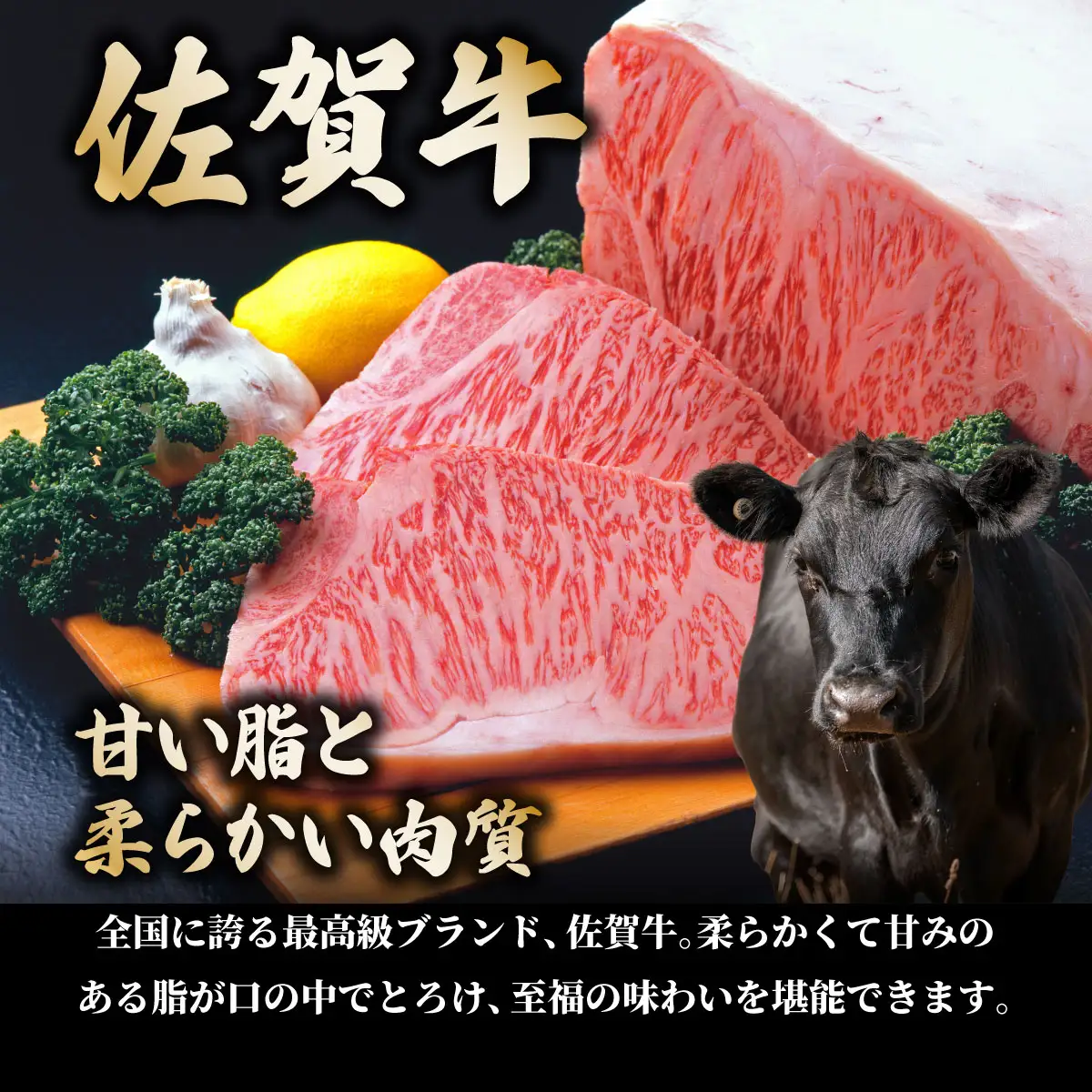 佐賀県産黒毛和牛サイコロヒレステーキ600g【42yc-032】