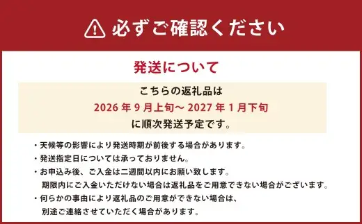 熊本市産 厳選 極上蜜柑 5kg 【2026年9月上旬～2027年1月下旬迄発送予定】 みかん ミカン 柑橘 フルーツ 果物