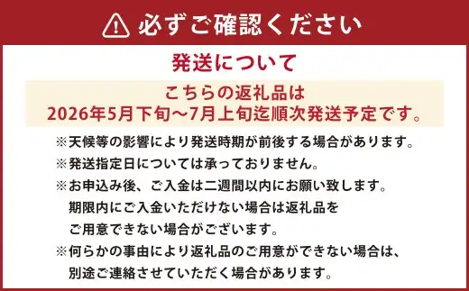 熊本市産 桃 約1.8kg 季節の品種をお届け【2026年5月下旬～7月上旬発送開始】 果物 フルーツ モモ
