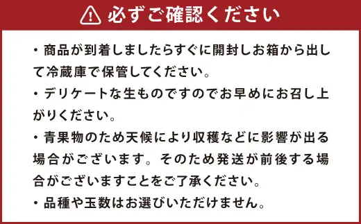 熊本市産 芳野梨 旬の品種 5kg なし ナシ 梨 果物 フルーツ 【2026年8月下旬～9月下旬迄発送予定】