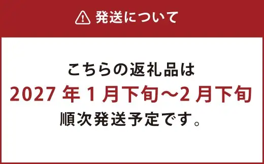 熊本市産 種ごと 丸ごと きんかん 約1.8kg 金柑 キンカン 【2027年1月下旬～2月下旬迄発送予定】