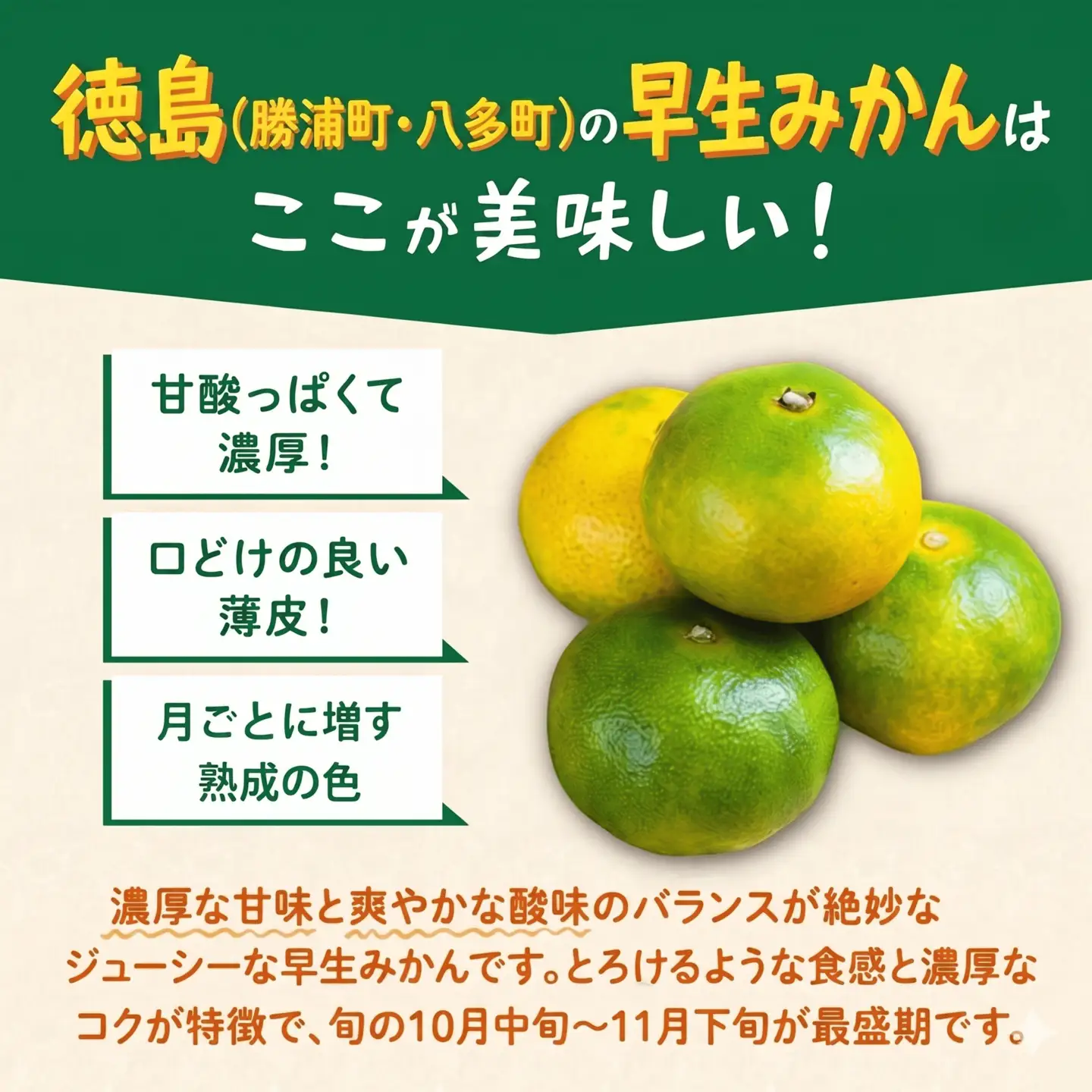 みかん 早生みかん 5kg 柑橘 フルーツ 果物