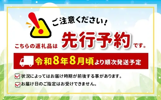 【先行受付】信州産桃 旬の桃（なつっこorあかつき）大玉 3kg（9～10玉）