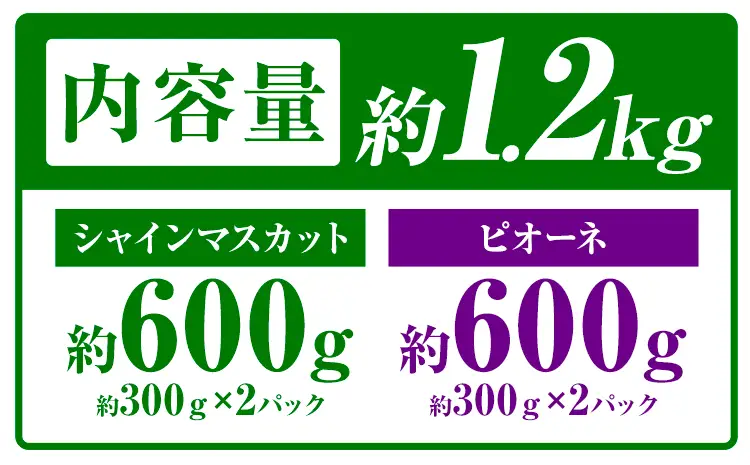 先行予約 シャインマスカット ピオーネ 秀品 内容量 1.2kg 4パック 日本フルーツ《7月下旬-8月末頃出荷》熊本県 荒尾市 ぶどう ブドウ 果物 フルーツ スイーツ デザート ギフト ご贈答