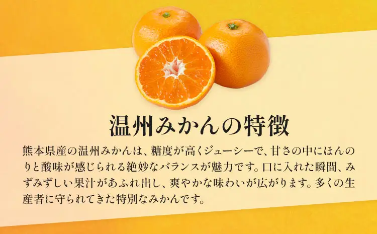 訳あり 温州みかん 約8kg 日本フルーツ株式会社 熊本県 荒尾市 《10月中旬-2月中旬頃出荷》 デコポン 果物 フルーツ スイーツ デザート